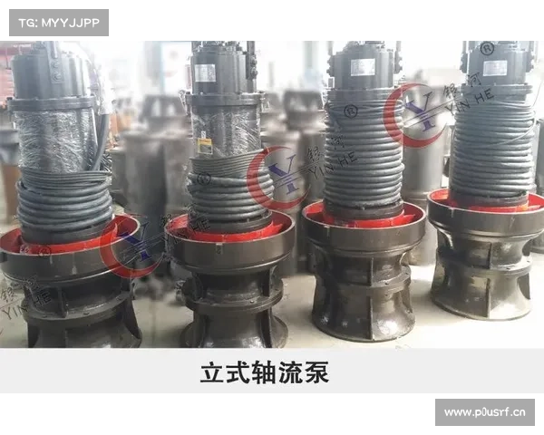 利欧潜水混流泵助力市政排水标杆工程 利欧潜水混流泵助力市政排水标杆工程